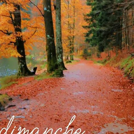 Lumen Wood 度假居 拉布雷斯