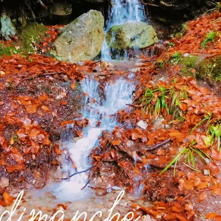 Lumen Wood בית נופש