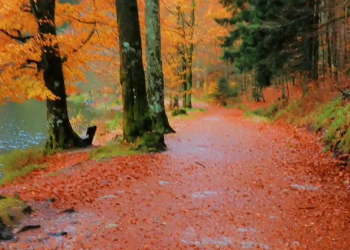 Lumen Wood Prázdninový dům La Bresse