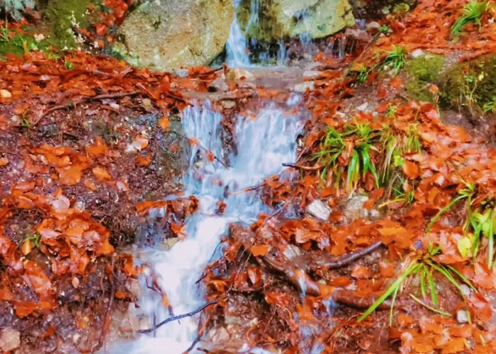 Lumen Wood Prázdninový dům